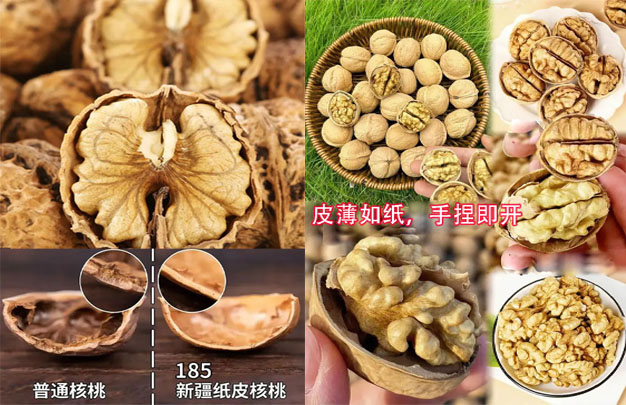 /uploads/image/2025/11/10/30afd25a96c184fd65eb9bff672294ef.jpg 修 4.jpg