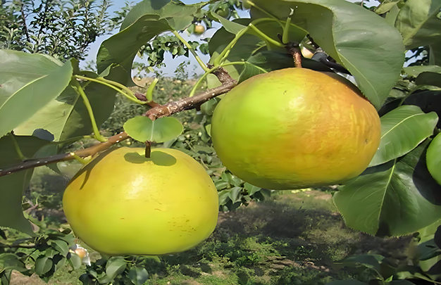 /uploads/image/2025/11/10/3e491b754bb709c4016043cbf4a03258.jpg 04.jpg