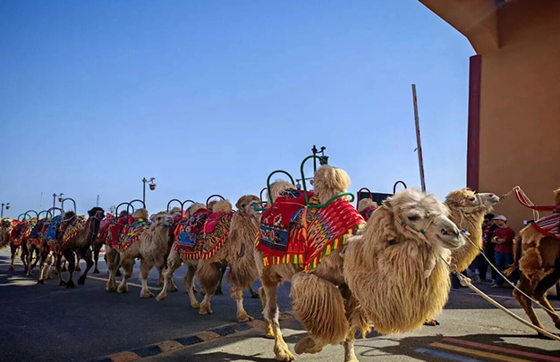 /uploads/image/2025/11/10/46732cb24a42683832c088bc336892d1.jpg 5.jpg