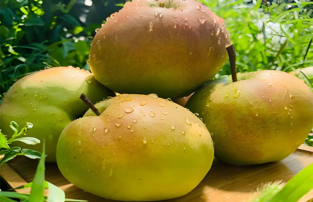 /uploads/image/2025/11/10/6514626e59cf1459082f3b303634ac98.jpg 02.jpg