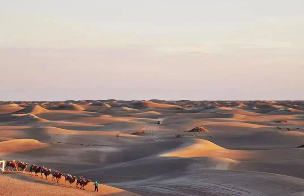 /uploads/image/2025/11/10/6dcb9b45e8dd6f6ab79342c5031008f7.jpg 11.jpg