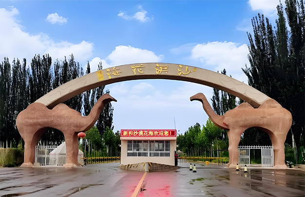 /uploads/image/2025/11/10/b59cc889280bfb2f339590864367af2b.jpg 10.jpg