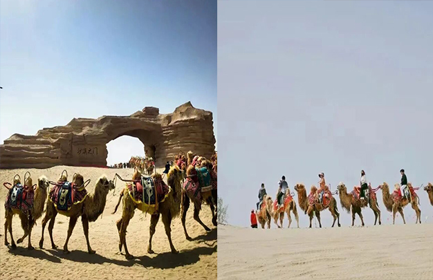 /uploads/image/2025/11/10/dc9974418f5477821a5f12201c72a0ab.jpg 6.jpg