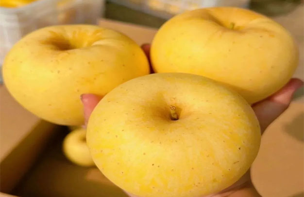 /uploads/image/2025/11/10/f2aa6ff63ddf523c123a56409220358d.jpg xiu 6.jpg