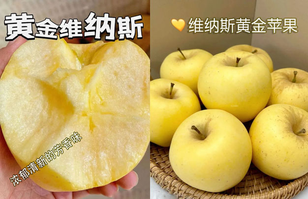 /uploads/image/2025/11/10/f9ac94e6f11a87b9dfc6c350067cda3a.jpg xiu 5.jpg