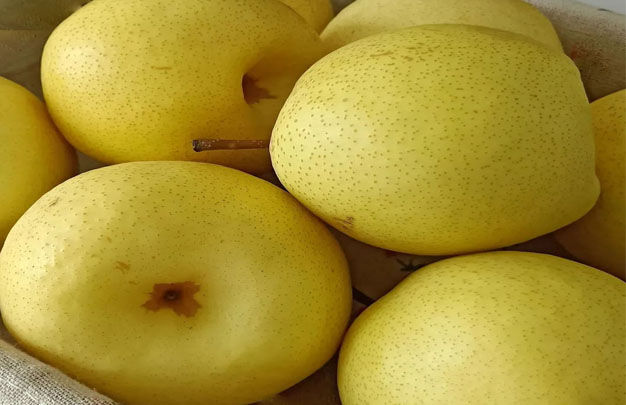 /uploads/image/2025/11/11/026d1dfa2e3ced6764e15fbba45549d0.jpg 修1.jpg