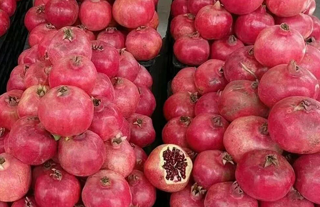 /uploads/image/2025/11/11/0759519c4b792b3ae96c81bc3d81d2d3.jpg 2.jpg