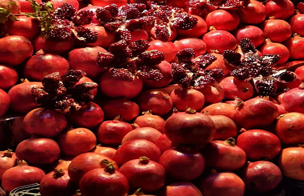 /uploads/image/2025/11/11/38f4d2551a55cb8a737fd9b69f82c7c1.jpg 10.jpg