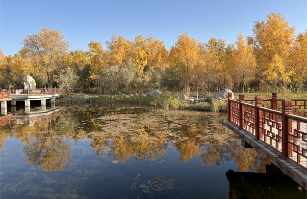 /uploads/image/2025/11/11/47ce35292f26680a9a89256ffac442fd.jpg 修 2.jpg