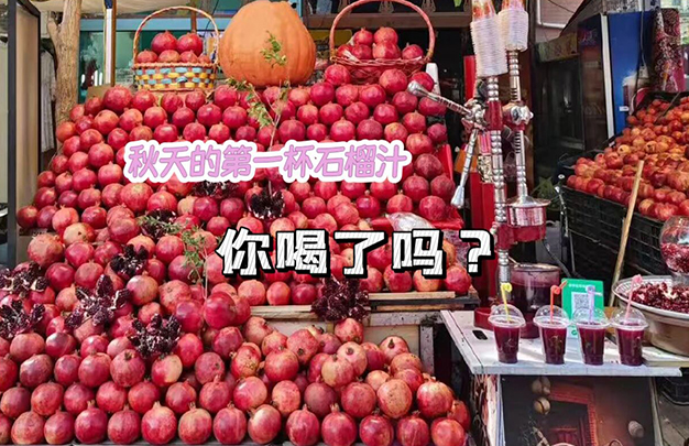 /uploads/image/2025/11/11/7fe72ded37b9231c467018283dd6867b.jpg 7.jpg