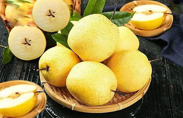 /uploads/image/2025/11/11/a1fbfc66bb9763868394689a5f93dcfb.jpg 修 4.jpg