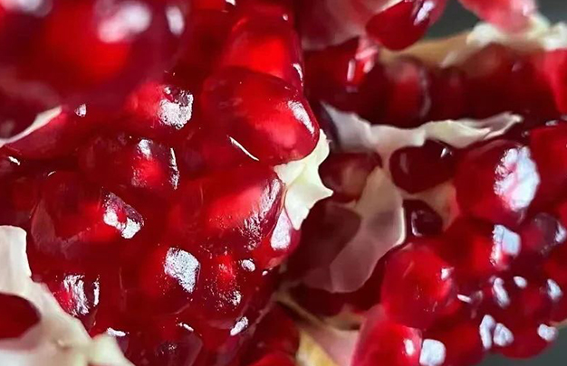 /uploads/image/2025/11/11/a6dac92fb9e7d0b49925fe755a2f2ca1.jpg 1.jpg