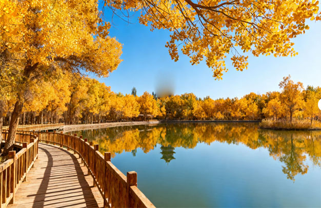 /uploads/image/2025/11/11/ab39f467304c4a1865c6ca5f1bba2536.jpg 修 8.jpg