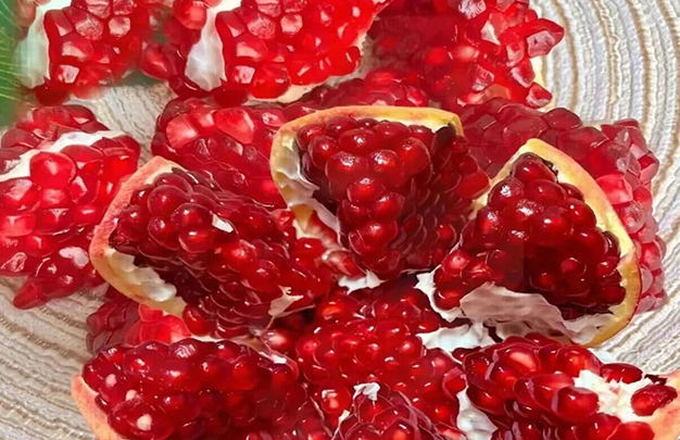 /uploads/image/2025/11/11/c7e143f7448c592a122e6d1b8aee9405.jpg 4.jpg