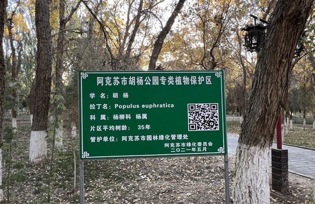 /uploads/image/2025/11/11/d4f5f3681769ba5830b452f81c5a85bd.jpg 修 1.jpg