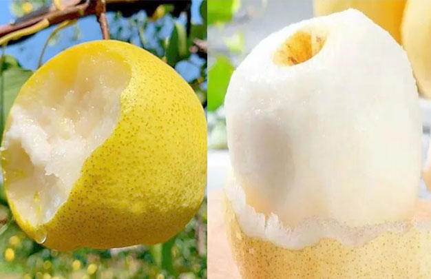 /uploads/image/2025/11/11/ec9425da83e36c919fd764dc2cc16a9c.jpg 修 2.jpg