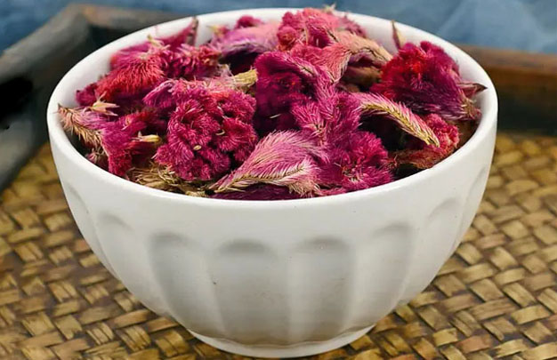 /uploads/image/2025/11/12/0202fad78c6d3a87276216bed11e8353.jpg 修 3.jpg