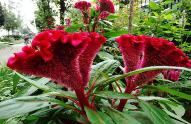 /uploads/image/2025/11/12/3f82ac4f0555ad0824e8fe08c7694f4b.jpg 修 5.jpg