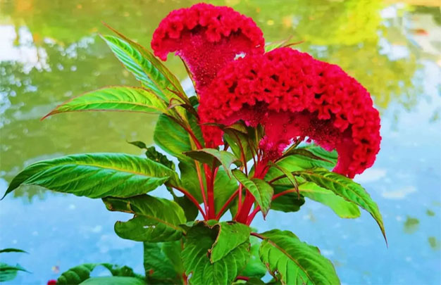 /uploads/image/2025/11/12/6c0ead7ffdb1fb4e0895f4dce6afbeef.jpg 修 2.jpg