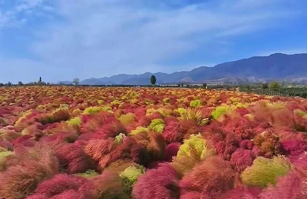 /uploads/image/2025/11/12/af0417b85131d7f4affda232d8f8b333.jpg 4.jpg