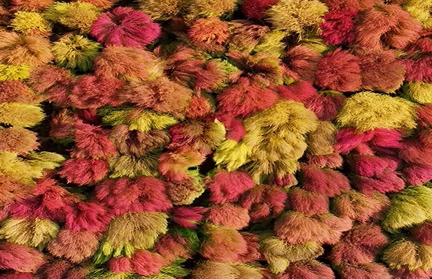 /uploads/image/2025/11/12/be3a86cade3d33536841666335a5db2b.jpg 1.jpg