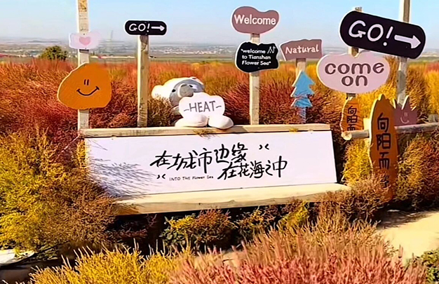 /uploads/image/2025/11/12/ee4db7889b446d688404fa0aee38ad9c.jpg 8.jpg