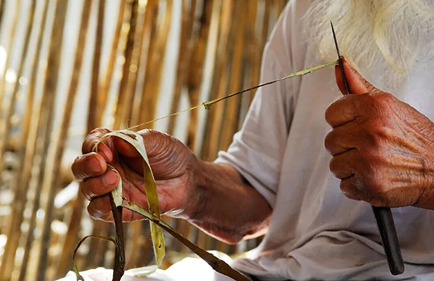 /uploads/image/2025/11/13/03d4888b0161bde79a3ac4a78ccea062.jpg 3.jpg