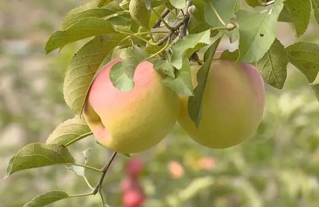 /uploads/image/2025/11/13/224a6f810541090f75d2a50d51c01f33.jpg 5.jpg