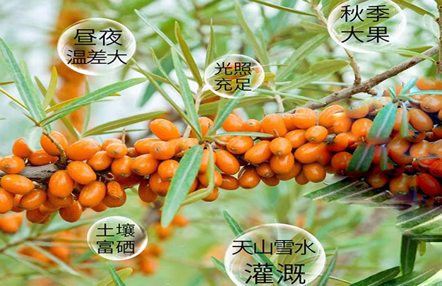 /uploads/image/2025/11/13/27c45079ffb1208136c11dc310a10d0f.jpg 修图 1.jpg