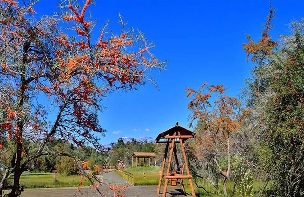 /uploads/image/2025/11/13/280a92e17359f0afa9e217b6d81be1ee.jpg 修图 4.jpg