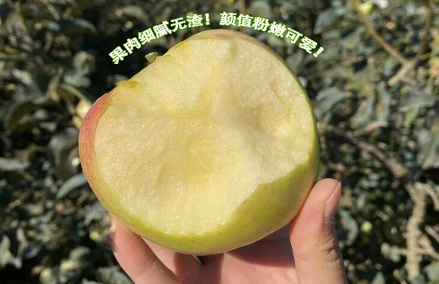 /uploads/image/2025/11/13/694d05b823aea36b41469acfd5535630.jpg 7.jpg