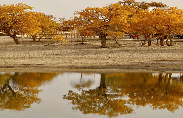 /uploads/image/2025/11/13/6fa82aa8bb858fc5f213ade2f773ff0d.jpg 8.jpg