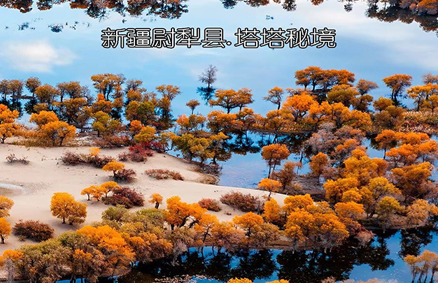 /uploads/image/2025/11/13/9de1735365dd8d8eb846942920253768.jpg 1.jpg