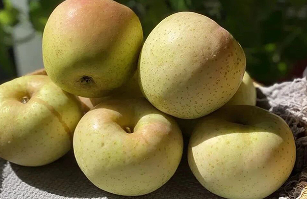 /uploads/image/2025/11/13/a1b45fb160145d91703bfee0e8376572.jpg 8.jpg