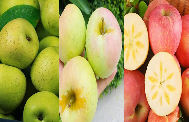 /uploads/image/2025/11/13/cab05a37bd1a6c8728b28c62aec4be50.jpg 2.jpg