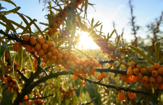 /uploads/image/2025/11/13/cfe8846786afdc3647bd8ca88a097880.jpg 修图 5.jpg