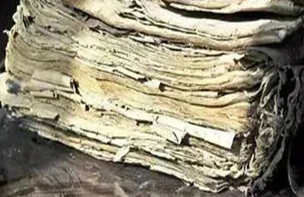 /uploads/image/2025/11/13/cff84cc09ded1b2c4fa174ebdc17f336.jpg 2.jpg