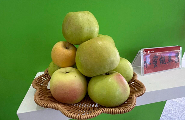 /uploads/image/2025/11/13/d7ca691e88677eb802dbb2bdd929155b.jpg 6.jpg