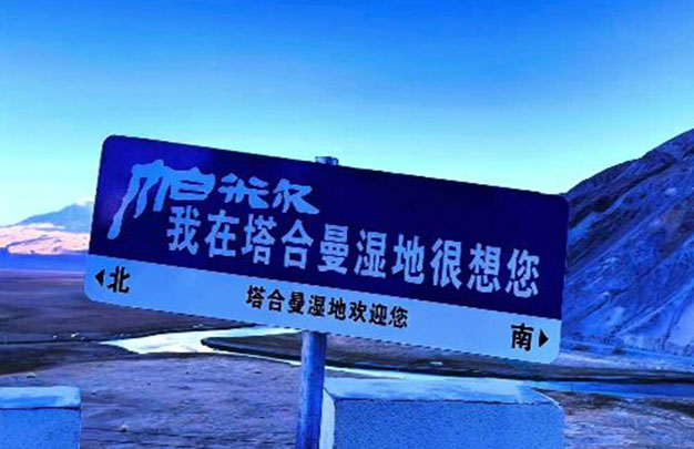 /uploads/image/2025/11/14/005966c1d86714fa6c7454646adc99c2.jpg 7.jpg