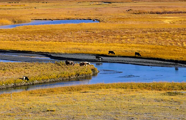 /uploads/image/2025/11/14/10043749fc03076cda7b61f7b980feec.jpg 1.jpg