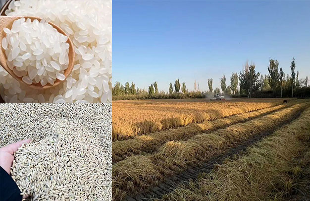 /uploads/image/2025/11/14/136479edd0f8a987190d3394392b1bac.jpg 5.jpg