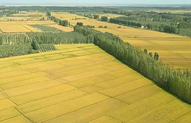 /uploads/image/2025/11/14/33527d16845d792b785a95dcf245a31f.jpg 2.jpg