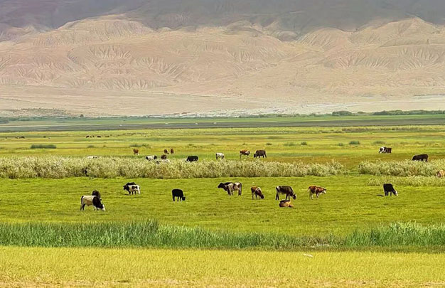 /uploads/image/2025/11/14/59f2407c47633a6b566e807075370ec0.jpg 3.jpg