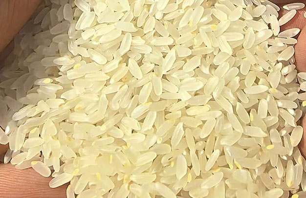 /uploads/image/2025/11/14/7ea9a2e9c9071a330af9e68d9c955375.jpg 6.jpg