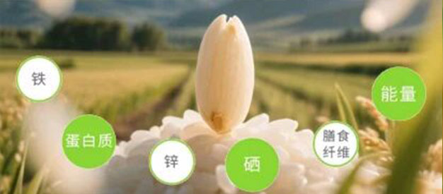 /uploads/image/2025/11/14/9841584691df76c45eef9eaa648efd31.jpg 4.jpg