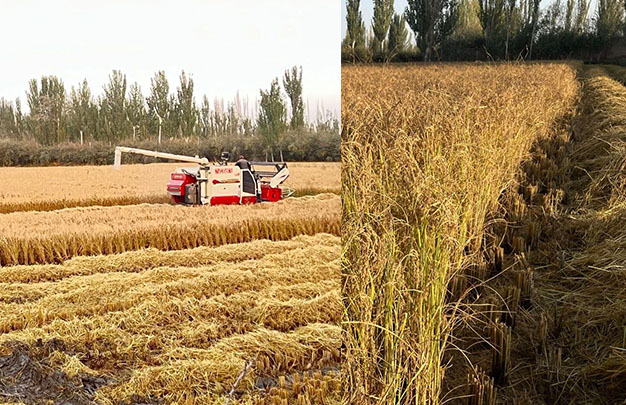 /uploads/image/2025/11/14/f71582af5d1bc0f28552c53c7577b7d0.jpg 7.jpg