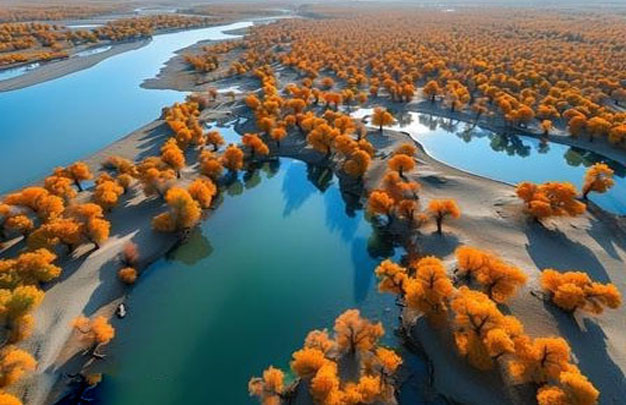 /uploads/image/2025/11/15/15288331c1b9f246466c9abe2eef8d16.jpg 修图 1.jpg