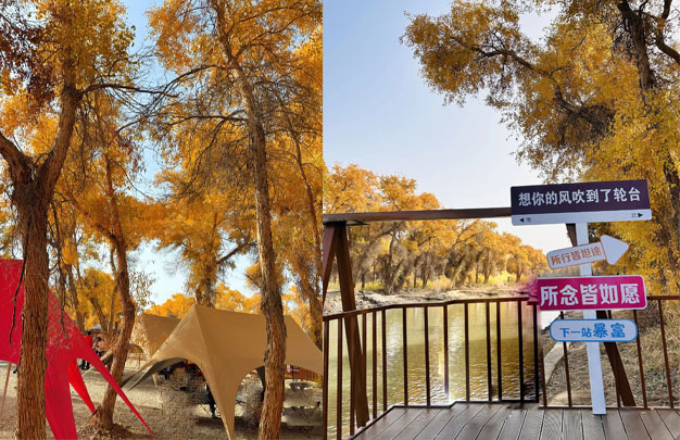 /uploads/image/2025/11/15/7373a294a203a767ce2288c2bc83fe0c.jpg 修图 4.jpg