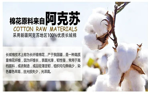 /uploads/image/2025/11/16/01352670538013dc735da27829e484b3.jpg 修图2.jpg