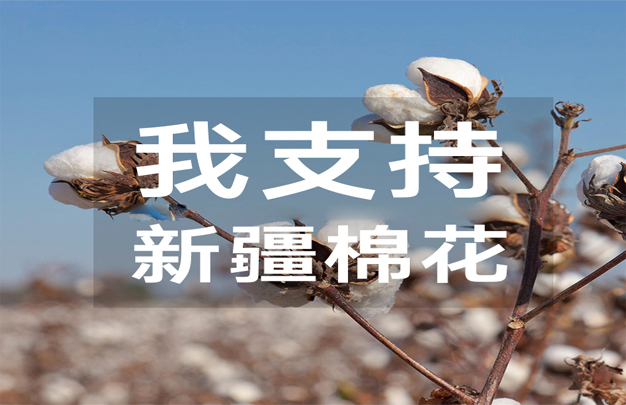 /uploads/image/2025/11/16/f0b0fdd952eb4b7c0dbf47083a6d5451.jpg 修图7.jpg